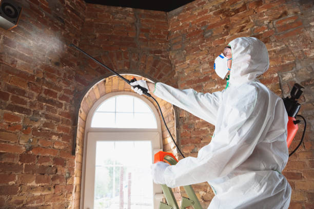 Best Mold Remediation for Healthcare Facilities in East Oakdale, CA